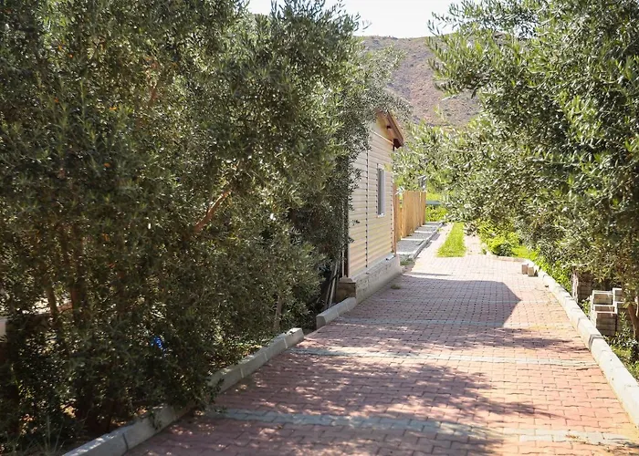 Linaden Apart Kumluca